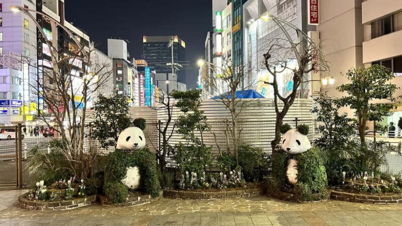 Tokyo: Akihabara, Shibuya, Karaoke & City Lights Night Tour - Key Points