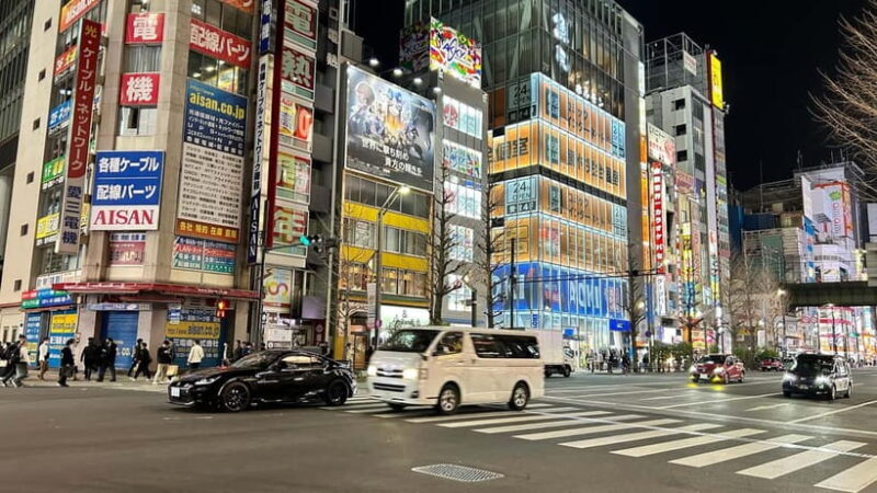 Tokyo: Akihabara, Shibuya, Karaoke & City Lights Night Tour - Who Should Consider This Tour?