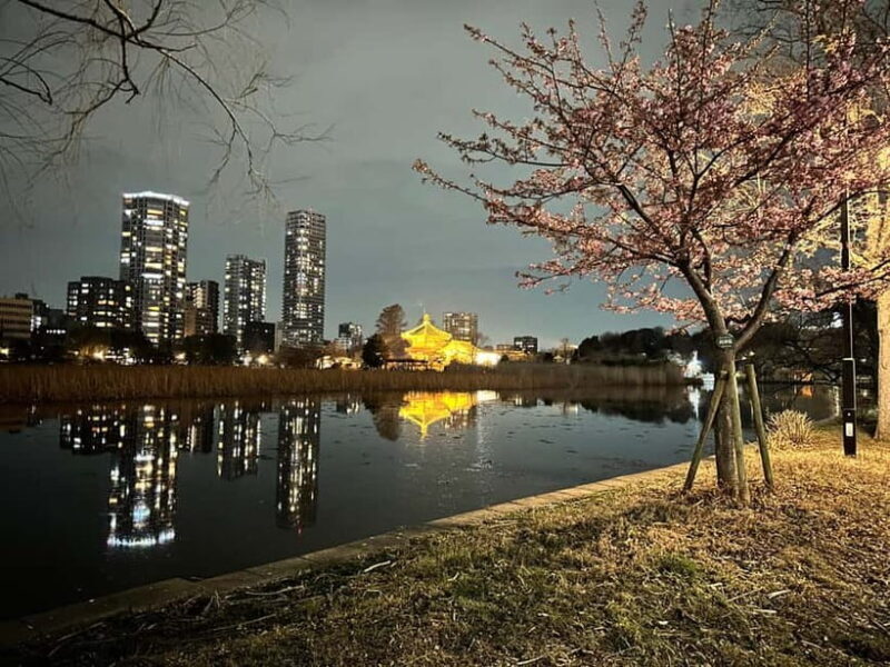 Tokyo: Akihabara, Shibuya, Karaoke & City Lights Night Tour - FAQ