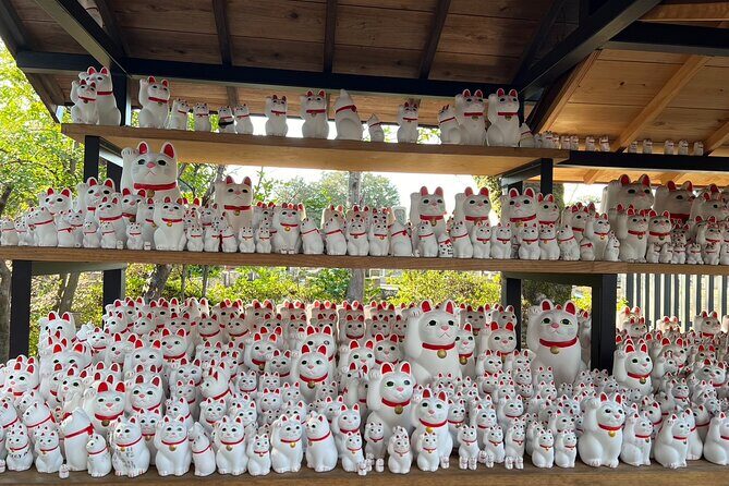 Tokyo: An Unique temple Walking Tour for cat lovers - The Legend of the Lord and the Temple Gate