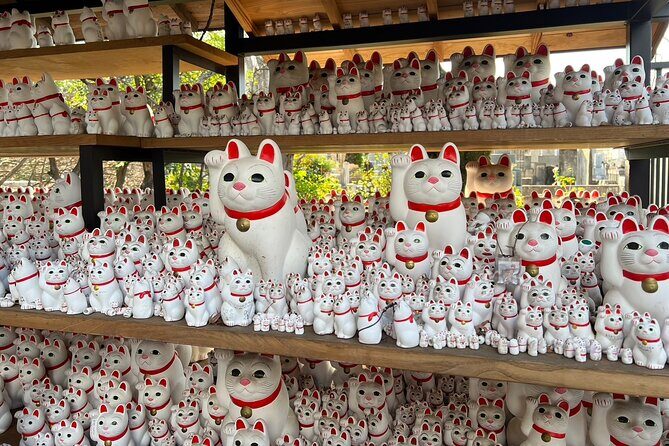 Tokyo: An Unique temple Walking Tour for cat lovers - Authenticity and Value