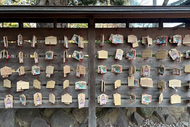Tokyo: An Unique temple Walking Tour for cat lovers - Potential Drawbacks