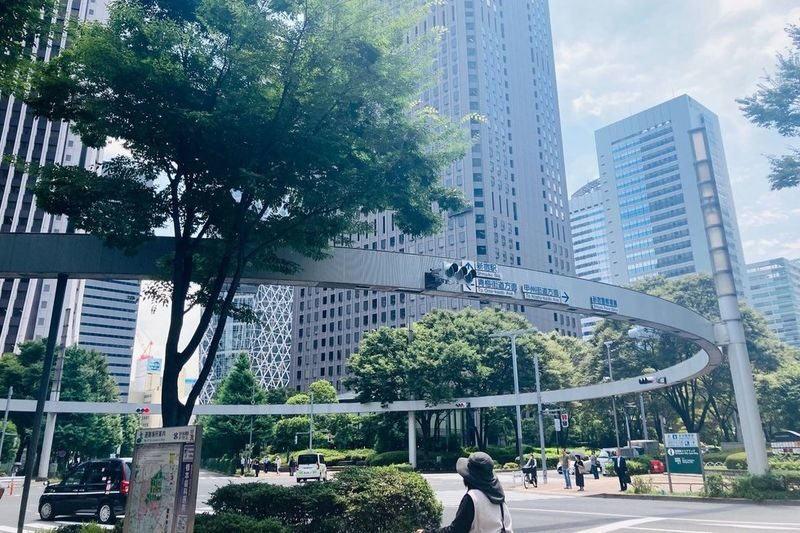 Tokyo Anime Pilgrimage 2-Hour Private Tour - Shinjuku, seen one frame at a time
