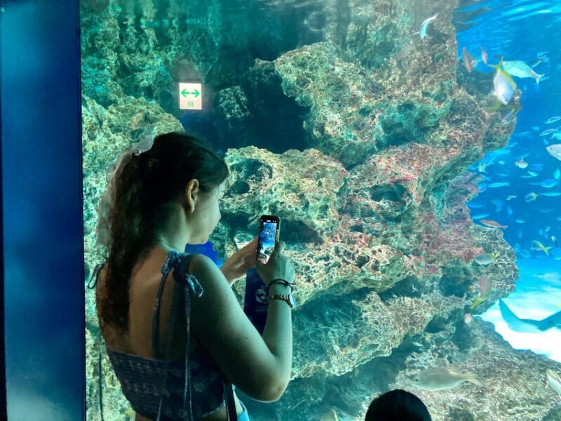 Tokyo : Aquarium Backyard Tour and Tokyo View Observatory - Discover Tokyo’s Aquarium and City Views with a Unique Behind-the-Scenes Tour