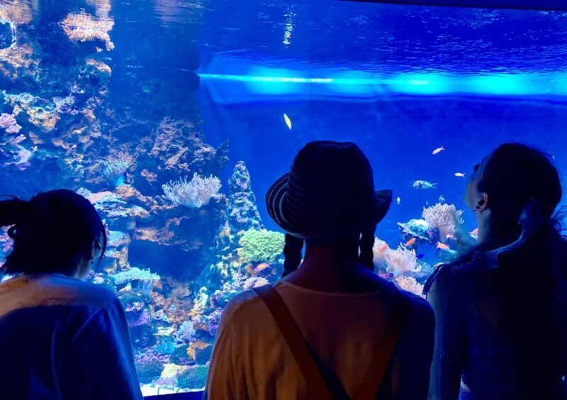 Tokyo : Aquarium Backyard Tour and Tokyo View Observatory - Key Points