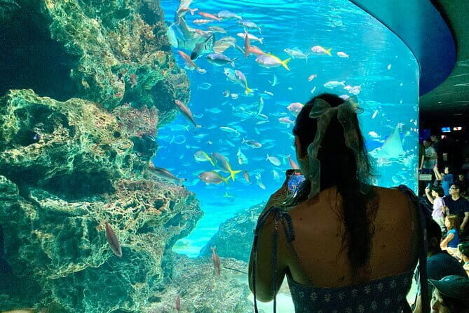 Tokyo, Aquarium Backyard Tour and View Observatory in Ikebukuro - Final Thoughts