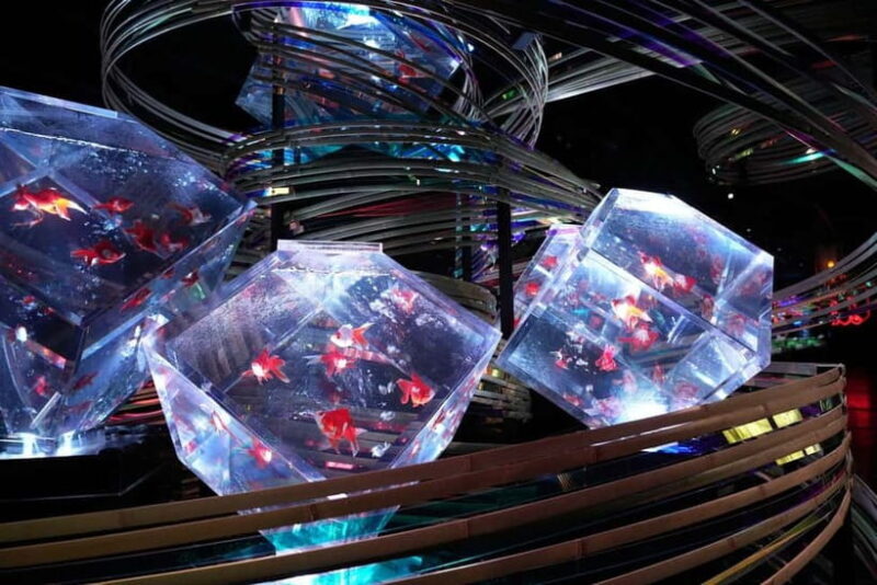 Tokyo: Art Aquarium Museum GINZA Entry Ticket - Discover the Art Aquarium Museum GINZA: A Unique Blend of Art and Nature in Tokyo