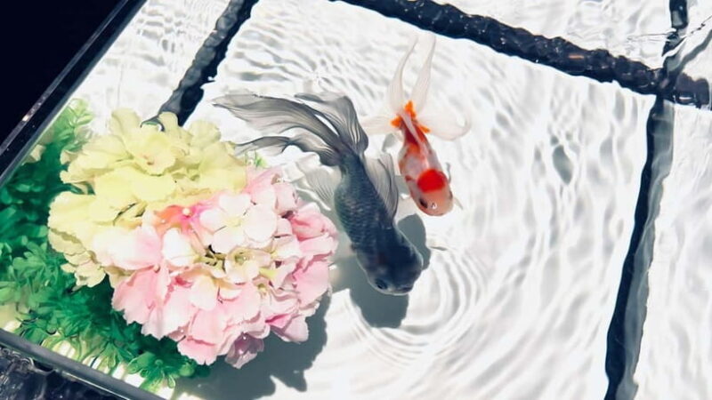 Tokyo: Art Aquarium Museum GINZA Entry Ticket - The Sum Up: Is the Art Aquarium Museum GINZA Worth It?