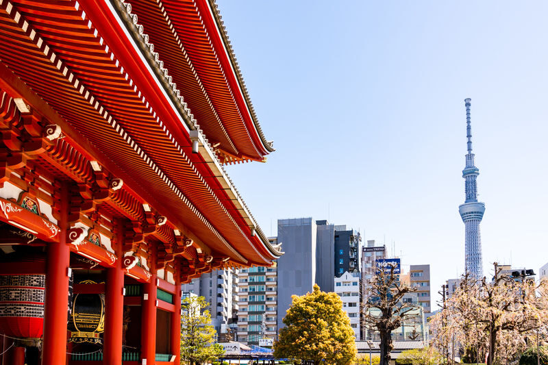 Tokyo Asakusa & Skytree Half-Day Immersive Experience - At Asakusa’s temple, give yourself room to look