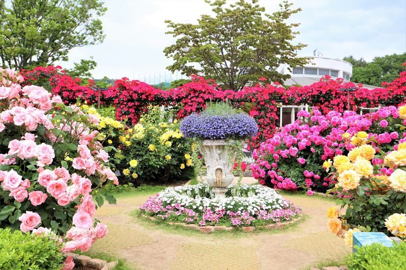 Tokyo Ashikaga Flower Park Full-Day Private Tour - Why this private day trip works