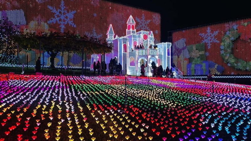 Tokyo: Ashikaga Flower Park with Entry Ticket - Final Thoughts