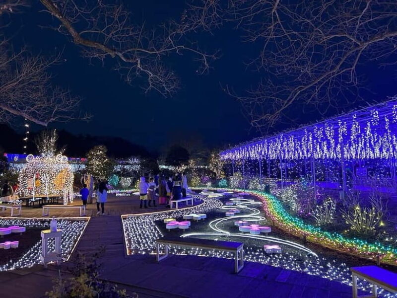 Tokyo: Ashikaga Flower Park with Entry Ticket - Key Points