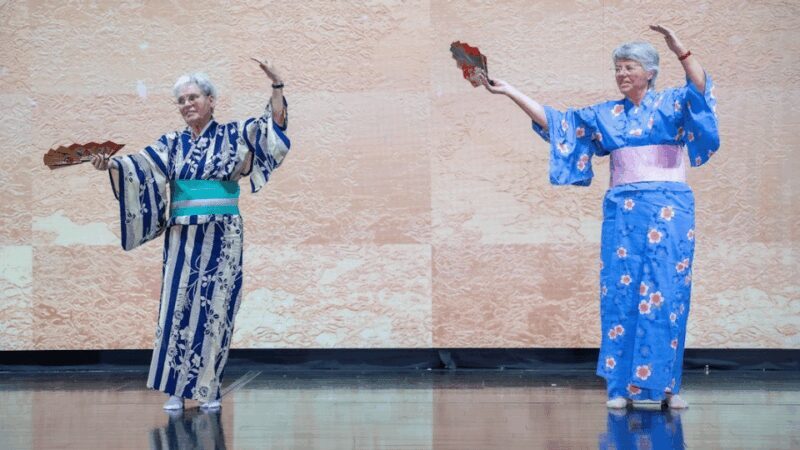 Tokyo: Authentic Japanese Dance experience by professionals - What You Can Expect from This Japanese Dance Experience