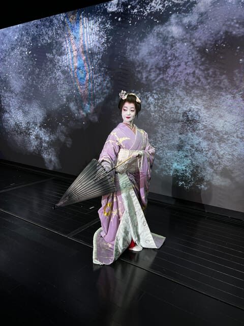 Tokyo: Authentic Japanese Dance experience by professionals - The Sum Up