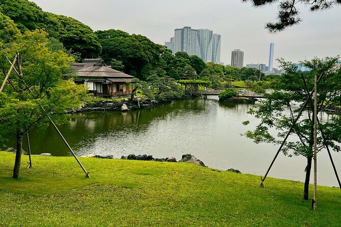 Tokyo Bay and Tsukiji Fish Market - A Detailed Look at the Itinerary