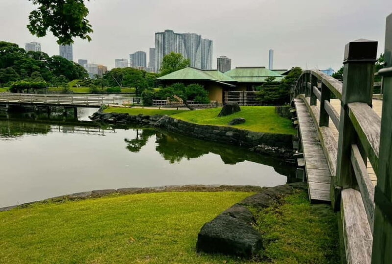 Tokyo Bay and Tsukiji Fish Market - A Deep Dive into the Experience