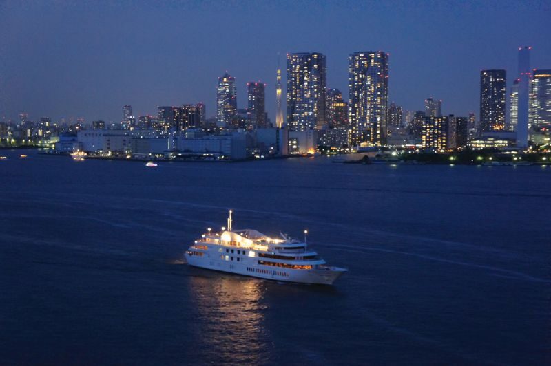 Tokyo Bay Dinner Cruise (The Symphony) - What to Know Before You Book