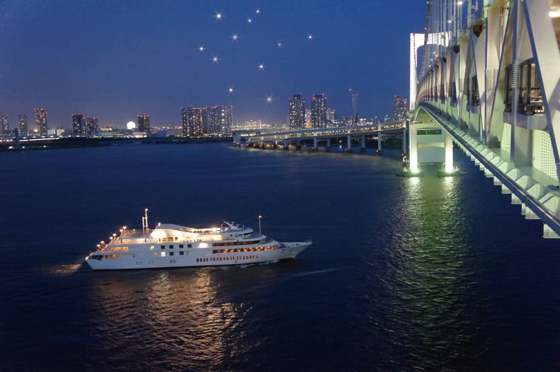 Tokyo Bay Dinner Cruise (The Symphony) - Is the Price Worth It?