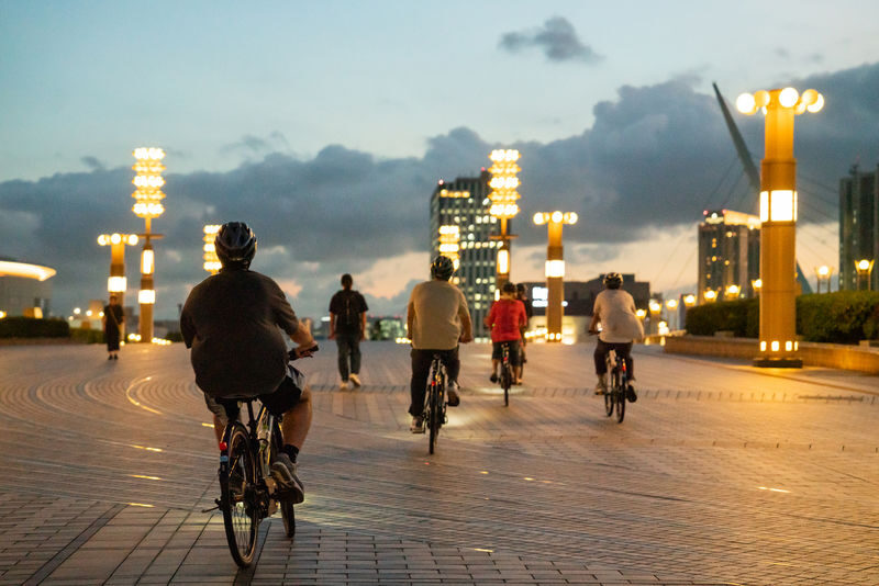 Tokyo Bay Small Group Sunset E-Bike Tour - What the small group and guide can add