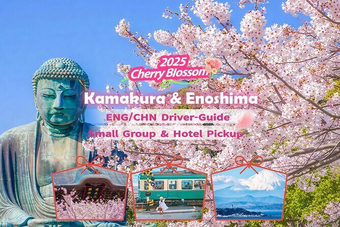 Tokyo: Bus Tour to Kamakura Great Buddha & Enoshima with Pickup - Key Points