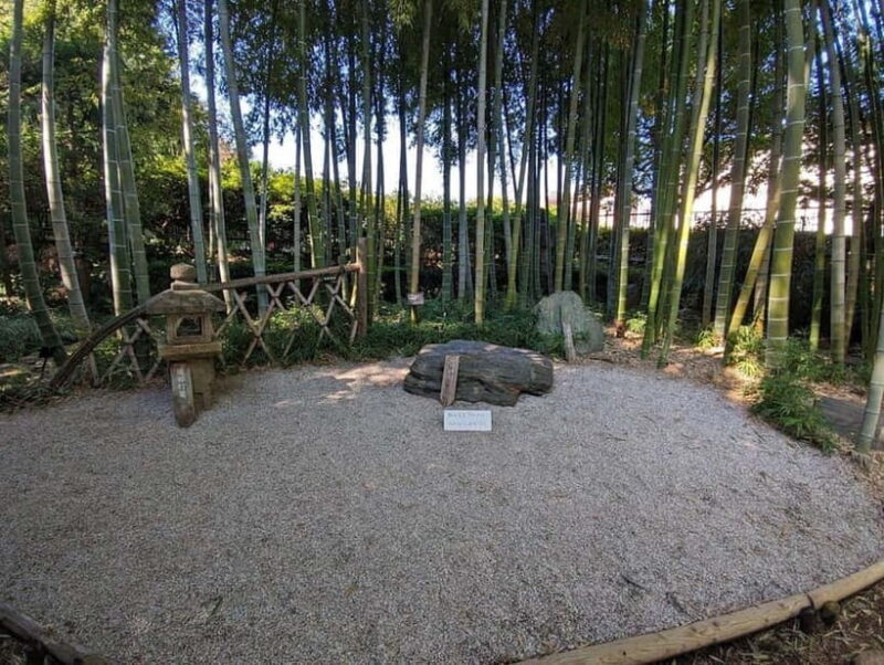 Tokyo: Calligraphy Class and Walking Tour - The Sum Up