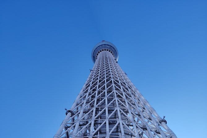 Tokyo Castle & Imperial Palace , Historical Walking Tour - Why This Tour Is a Great Choice