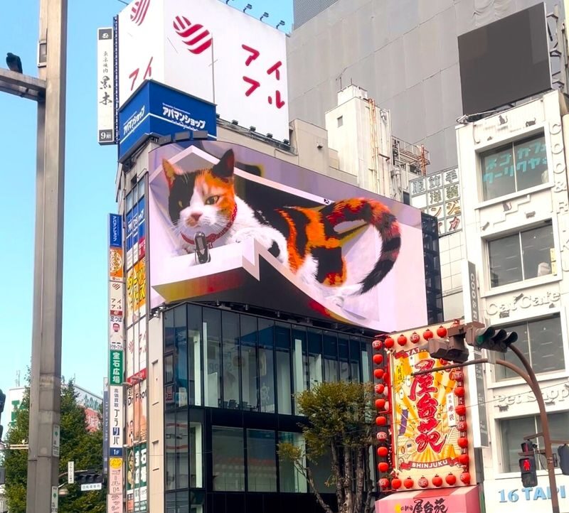 Tokyo Cat Cafe & Gotokuji Temple Half-Day Tour - Thirty minutes at Cat Cafe Mocha Lounge