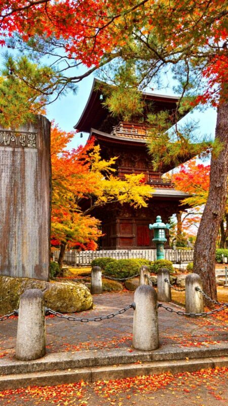 Tokyo Cat Cafe & Gotokuji Temple Half-Day Tour - What the pace means for your morning
