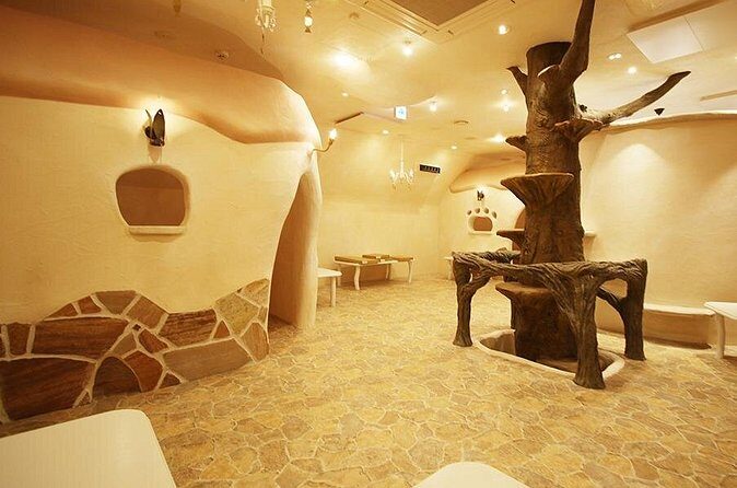 Tokyo Cat Cafe in Kichijoji - Castle Themed - The Sum Up