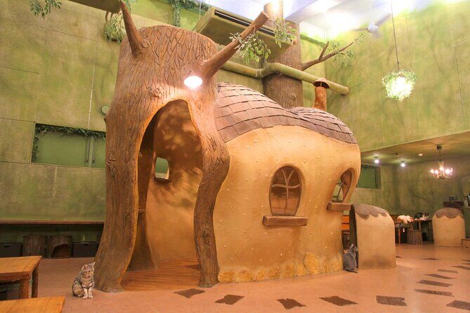 Tokyo Cat Café in Kichijoji - Forest Themed - Tokyo Cat Café in Kichijoji – Forest Themed