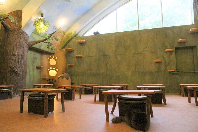 Tokyo Cat Café in Kichijoji - Forest Themed - Who Should Consider Visiting?