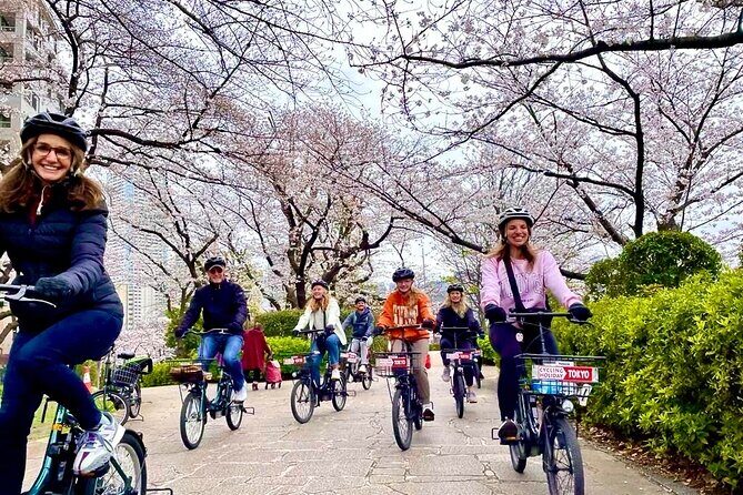 Tokyo Cherry Blossoms blooming spots E-bike Tour, 3hrs - Key Points