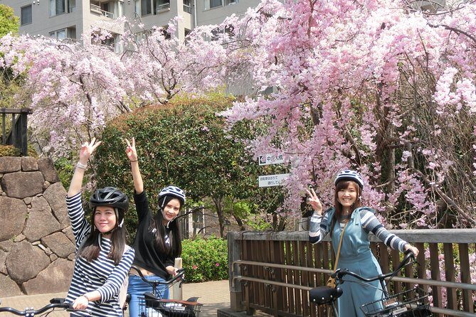 Tokyo Cherry Blossoms blooming spots E-bike Tour, 3hrs - Exploring the Tour in Detail