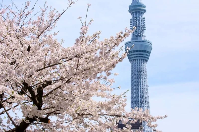 Tokyo City, Asakusa Cultural and Culinary One Day Walking Tour - Start at Senso-ji, Asakusa’s best-known landmark