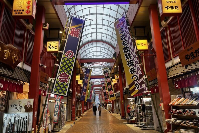 Tokyo City, Asakusa Cultural and Culinary One Day Walking Tour - Choose your own lunch on Hoppy Street