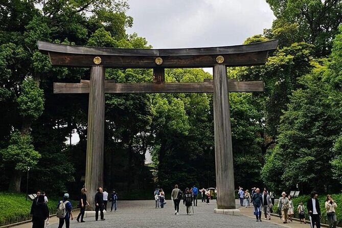 Tokyo City Attractive One Day Tour - Who Will Enjoy This Tour?