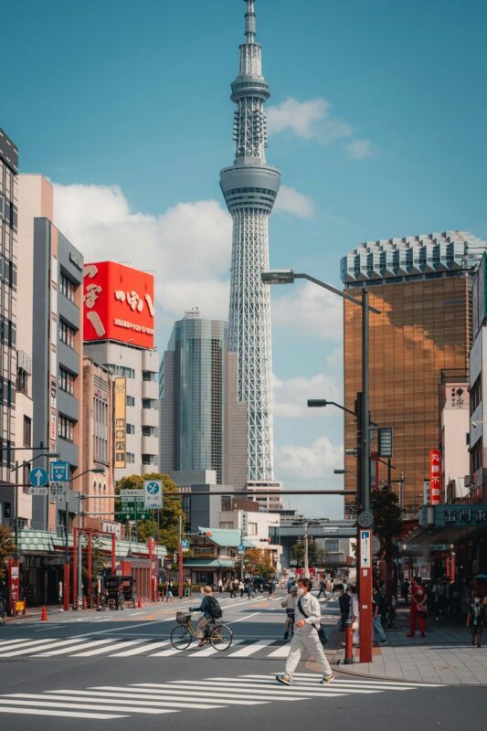 Tokyo City Full-Day Private Customizable Tour - Making the customization count
