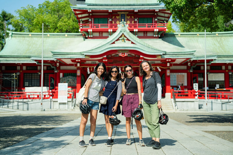 Tokyo City Highlights Half-Day E-Bike Tour with Guide - The guide can make the ride work