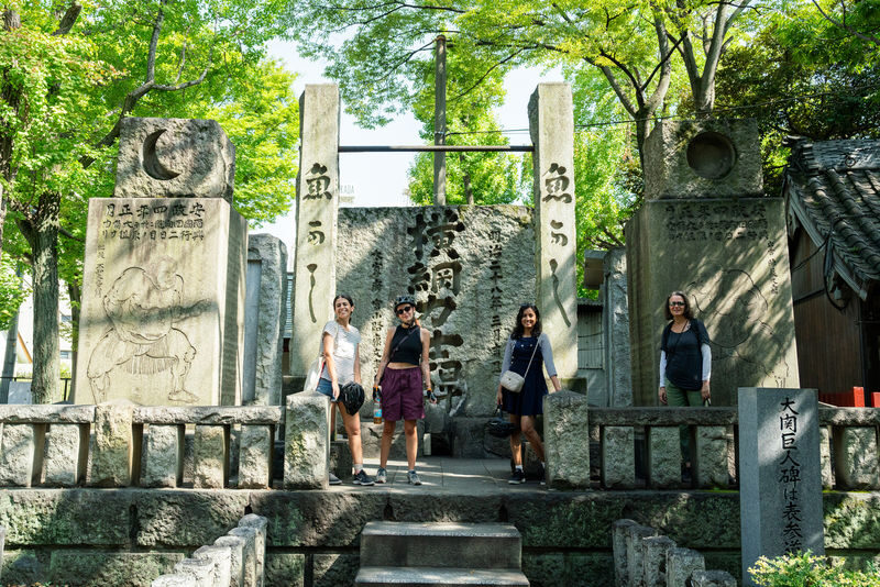 Tokyo City Highlights Half-Day E-Bike Tour with Guide - Is US$60.59 a fair price?