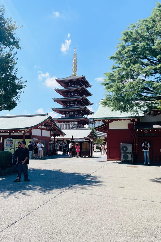 Tokyo City Highlights Tour With English Speaking Driver - Key Points