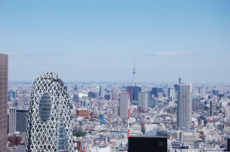 Tokyo City, Meiji Shrine & Skytree Bus Tour with Cruise - A full day that trades depth for reach