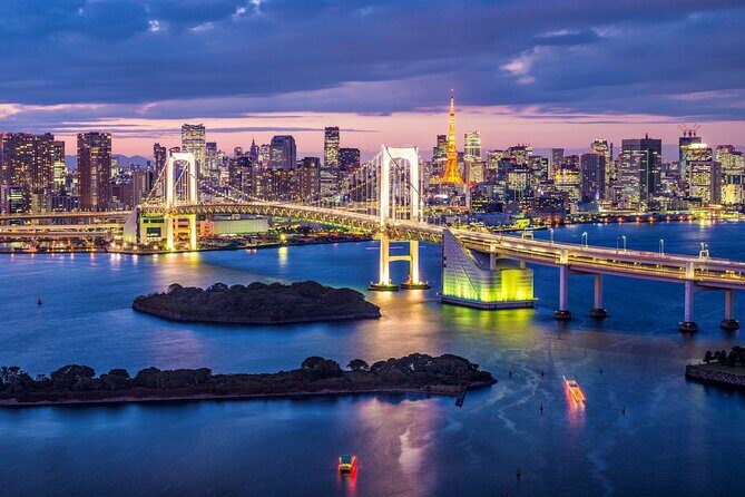 Tokyo City Night View Tour with Native Japanese Driver - Key Points