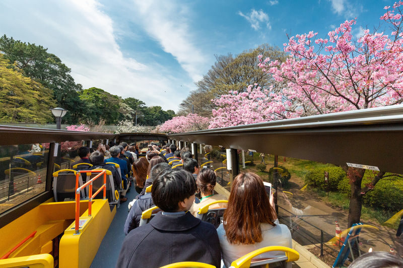 Tokyo City, Open Top Bus Sightseeing Trip - What the Tokyo City route shows you