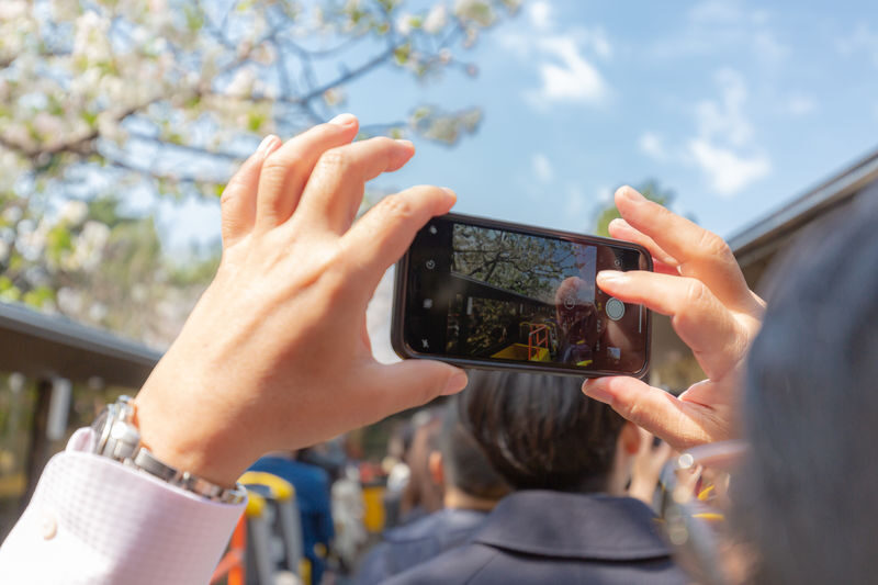 Tokyo City, Open Top Bus Sightseeing Trip - Is $12.69 good value?