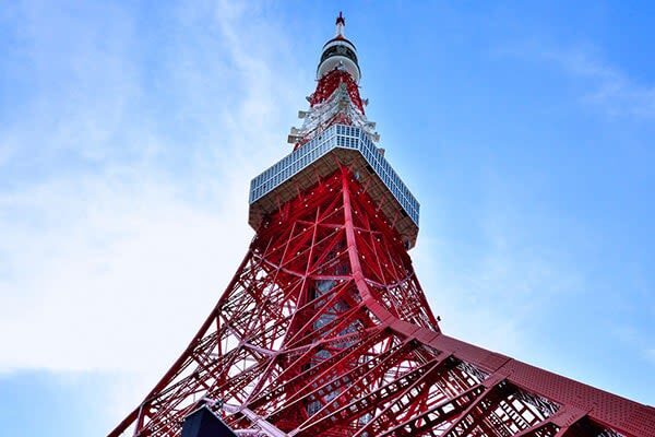 Tokyo City, Open Top Bus Sightseeing Trip - Making the most of the ride