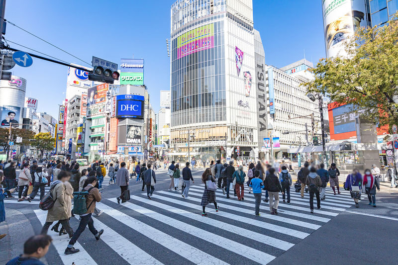 Tokyo City, Private and Customized City Exploration Walking Day Tour - Shibuya Crossing, Meiji Shrine and Harajuku