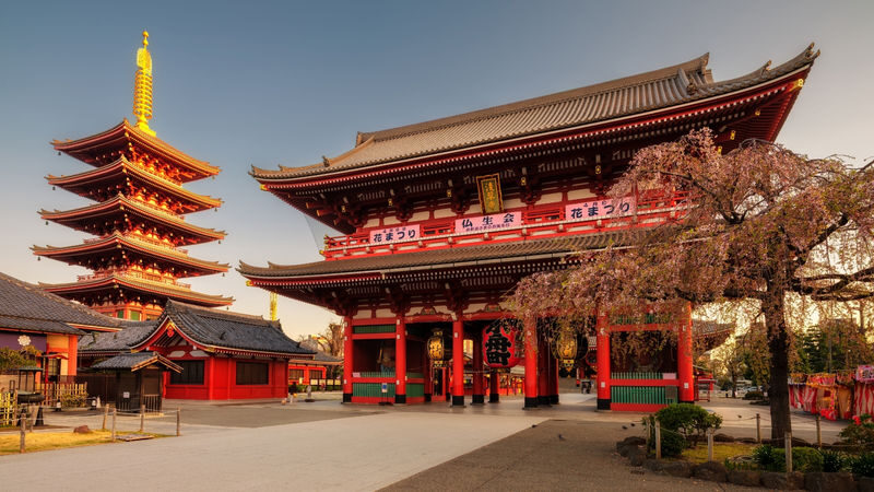 Tokyo City, Private Customized Day Trip with English-speaking Driver - A private car links far-flung Tokyo sights