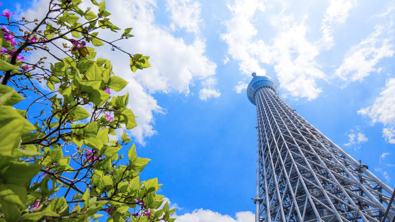Tokyo City, Private Customized Day Trip with English-speaking Driver - Tokyo Skytree: a landmark, not a required ticket