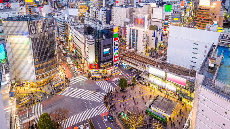 Tokyo City, Private Customized Day Trip with English-speaking Driver - Meiji Jingu: a welcome shift in mood