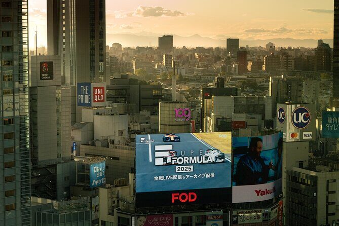 Tokyo City Private Full Day TOUR - A Closer Look at the Tokyo City Private Full-Day Tour